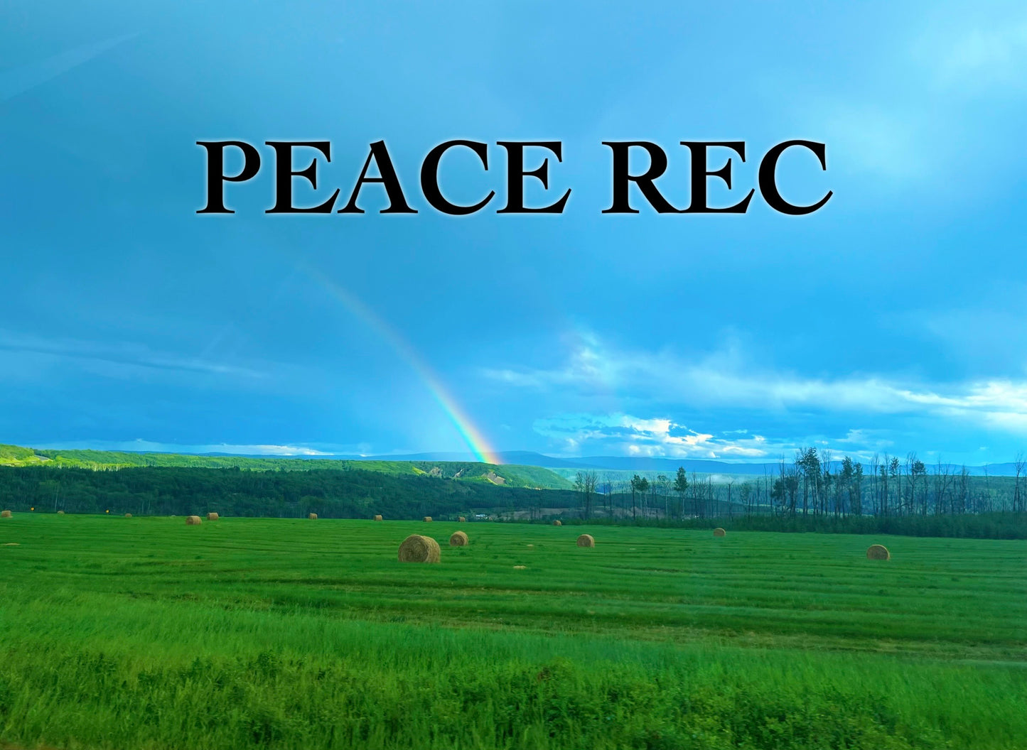 Peace Rec Digital Art V14