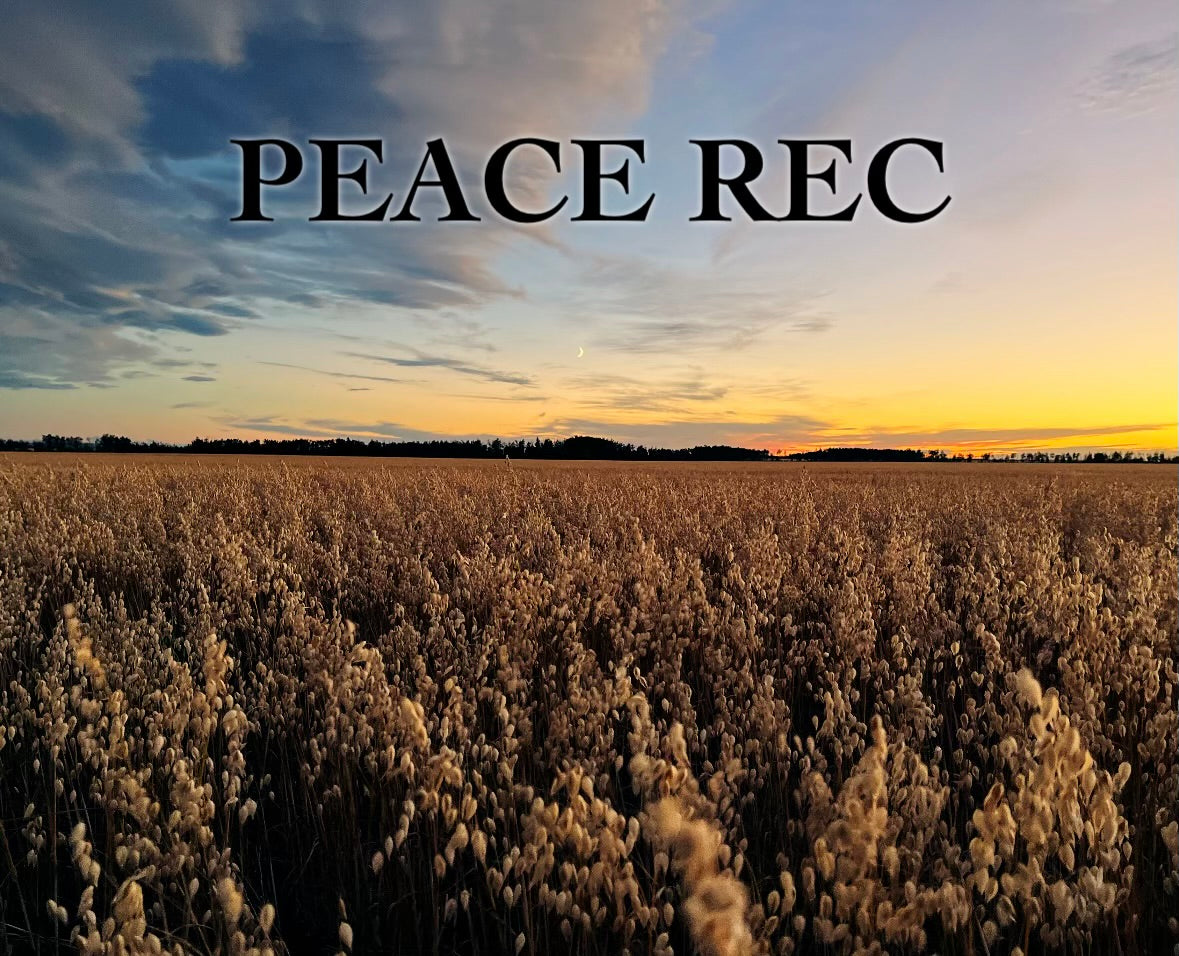 Peace Rec Digital Art V12