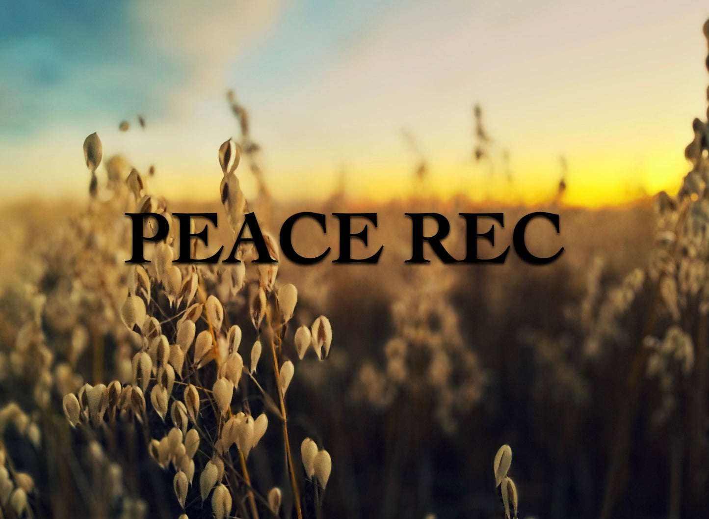 Peace Rec Digital Art V32