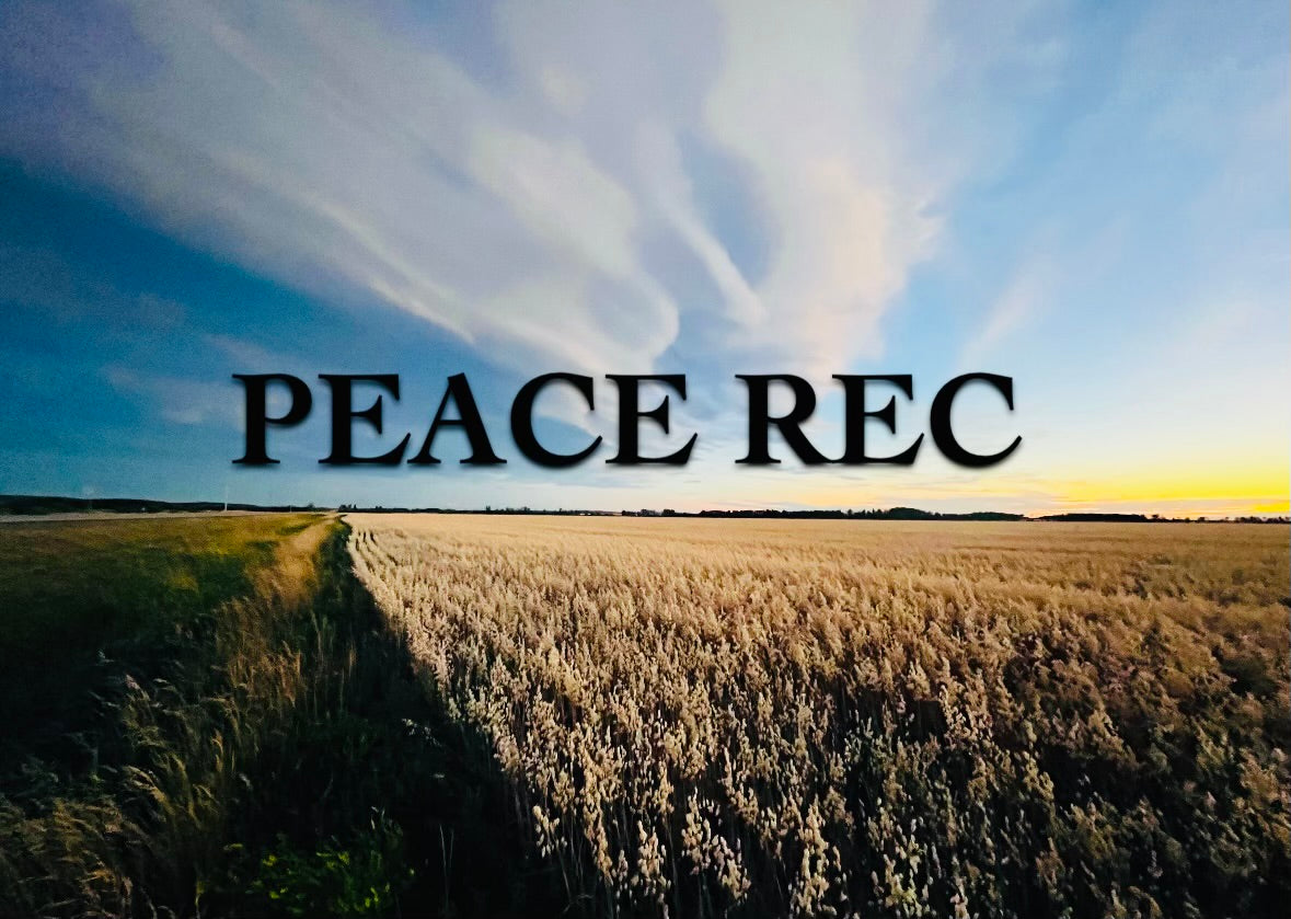 Peace Rec Digital Art V31