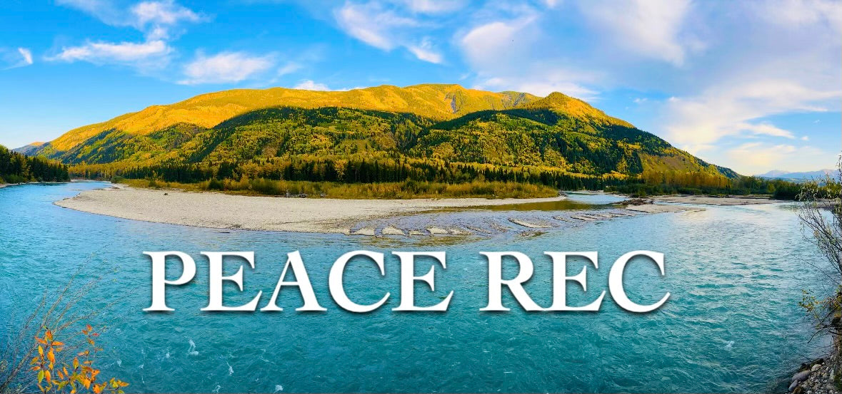 Peace Rec Digital Art V28