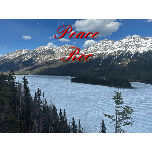 Peace Rec Digital Art V21