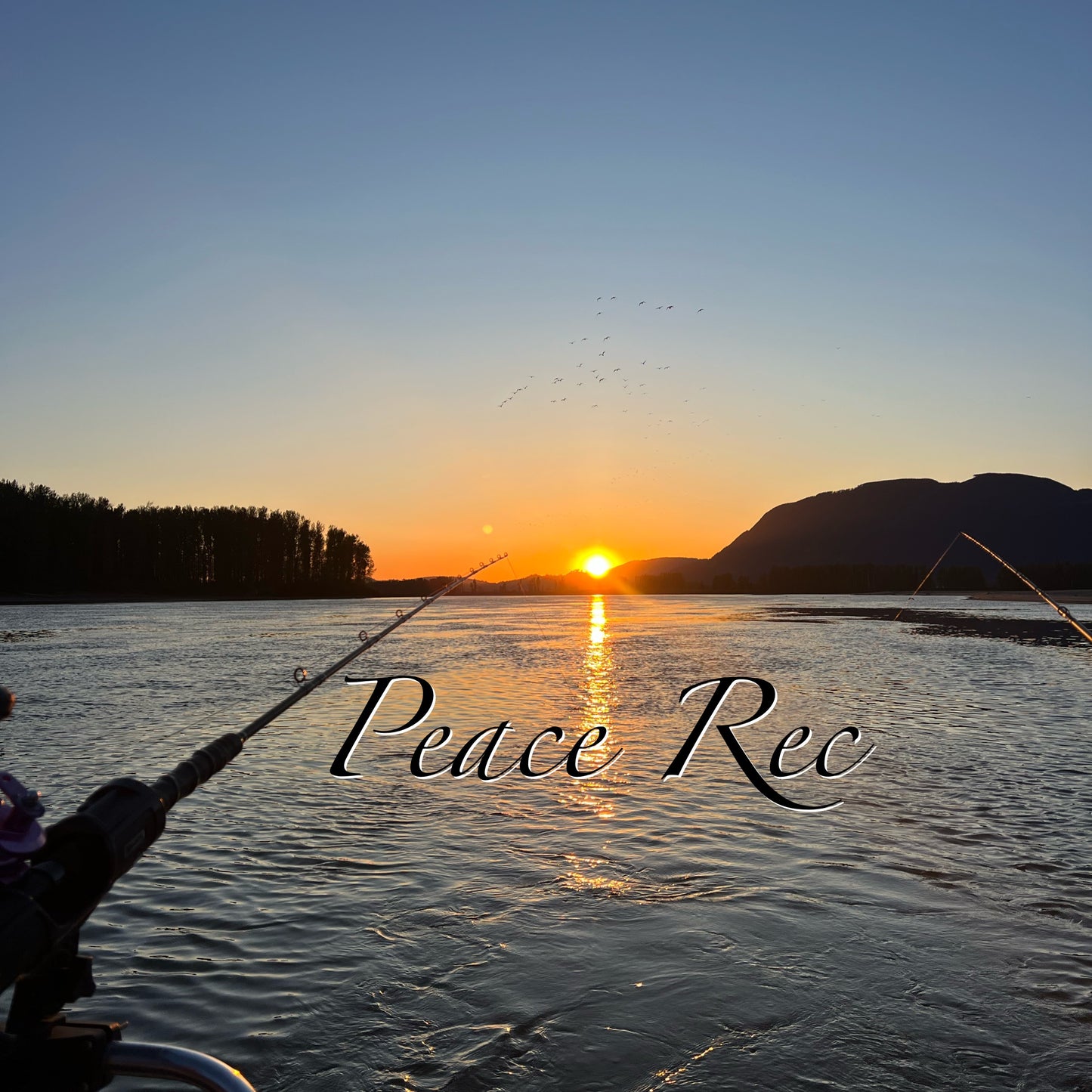 Peace Rec Digital Art V2